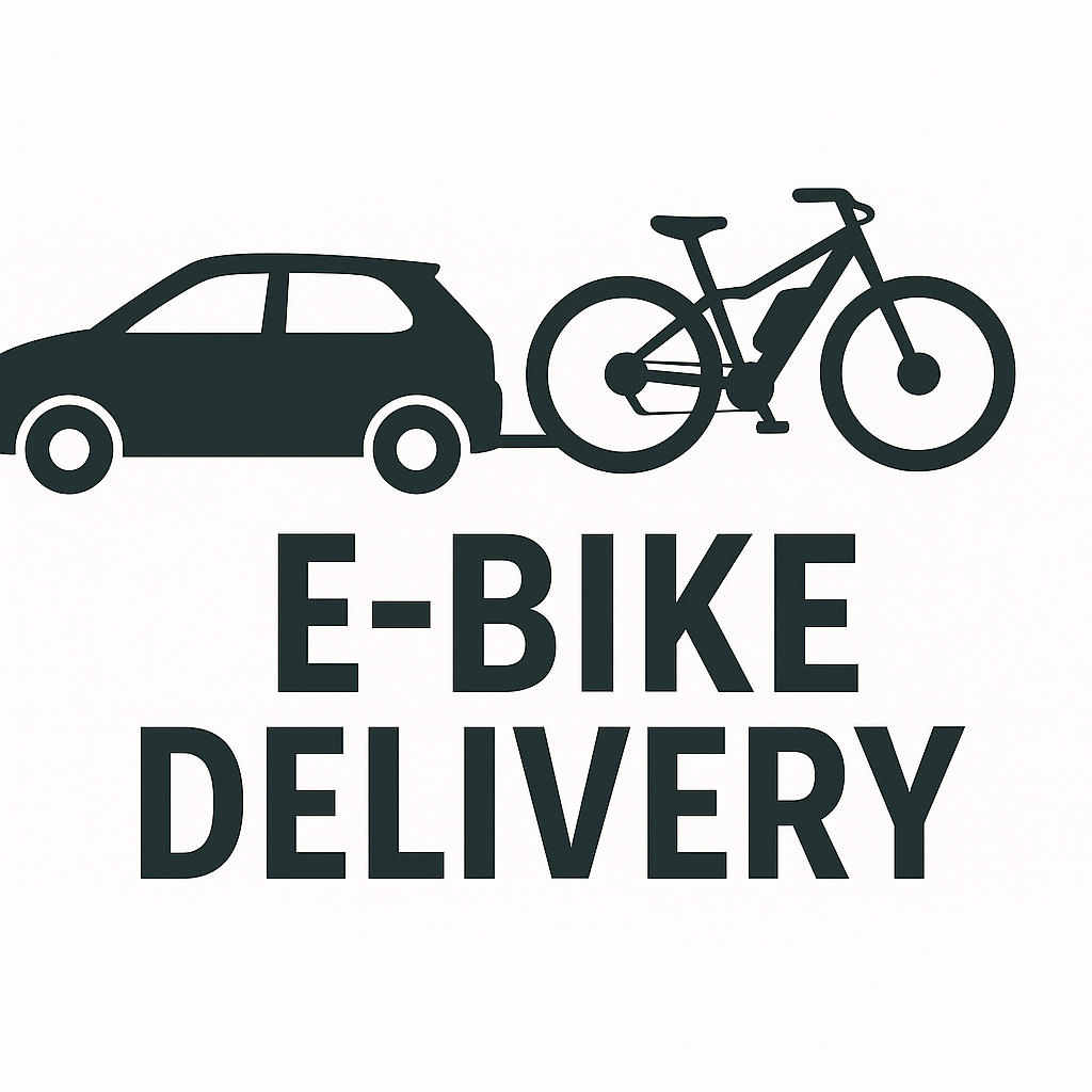 E-Bike Delivery Service