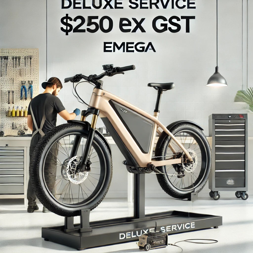 Full Service $250 Ex GST