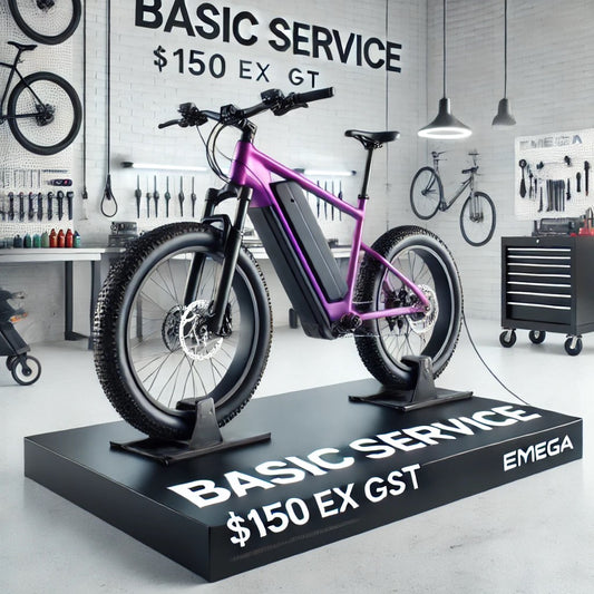 Basic Service $150 Ex GST