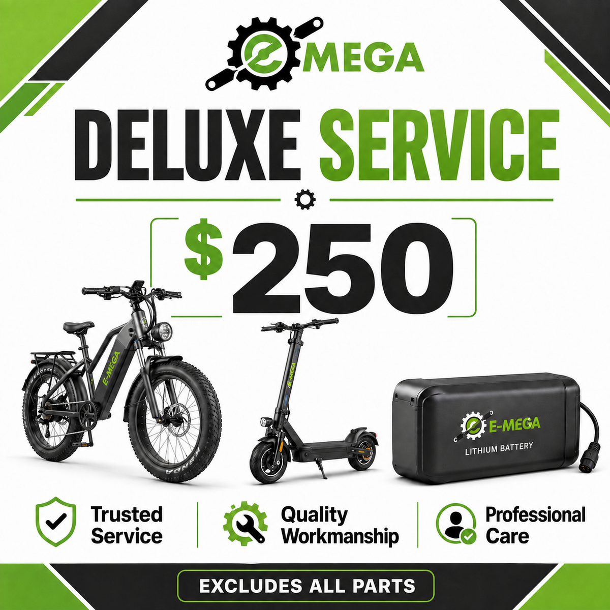 Deluxe Service for E-Bikes and E-Scooters