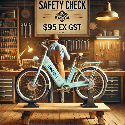 Safety Check $95 Ex GST