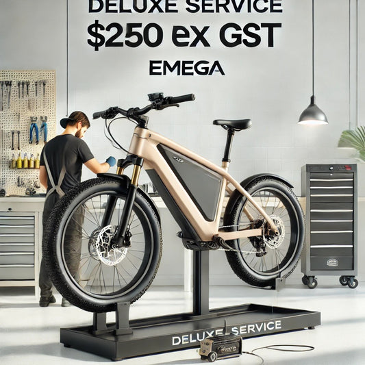 Full Service $250 Ex GST